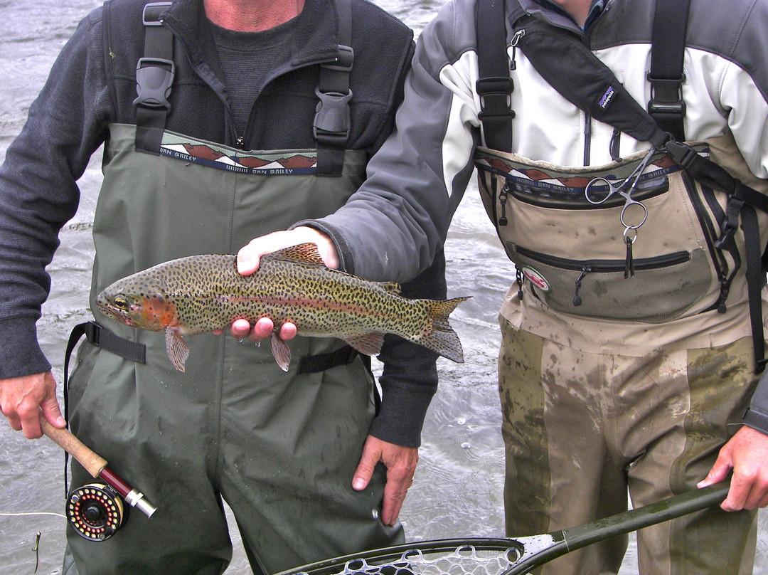 Arrick's Fly Shop, Inc.-西黄石镇必去景点