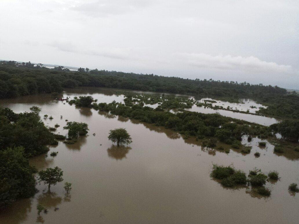 Ratargul Swamp Forest景点图片