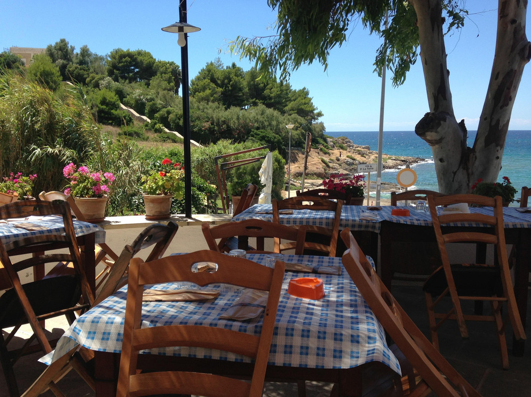 Bar Del Moro Ristorante