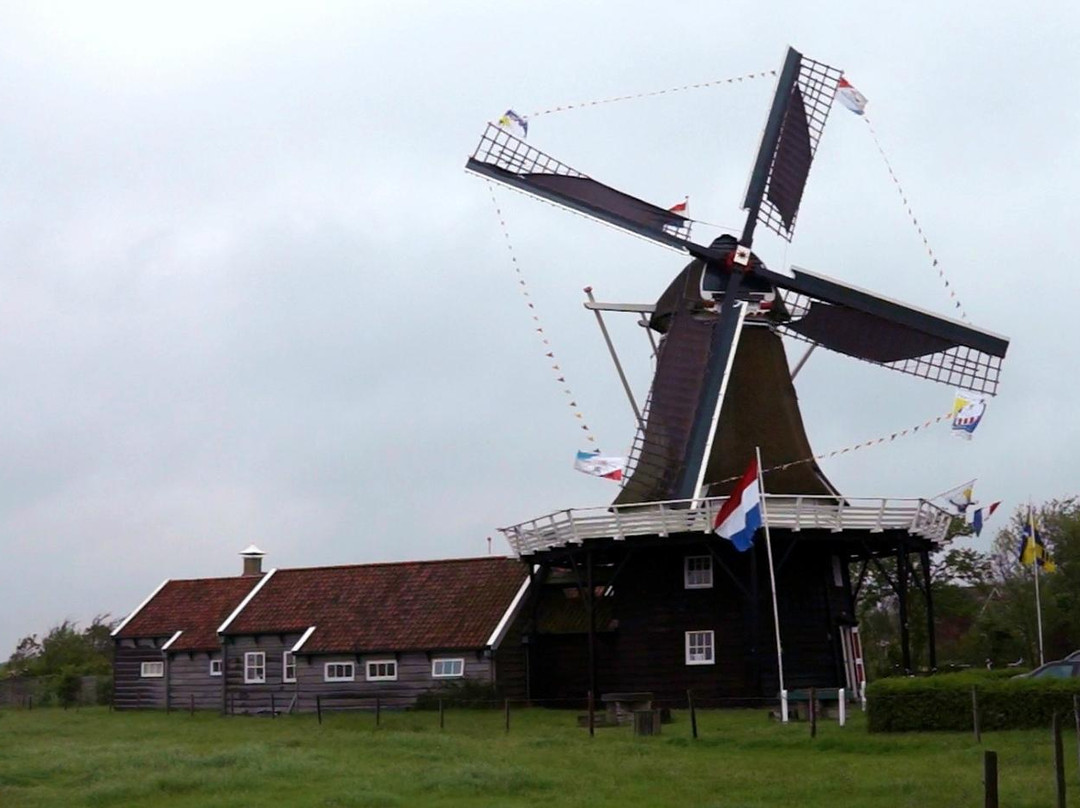 Koren- En Mosterdmolen de Verwachting景点图片