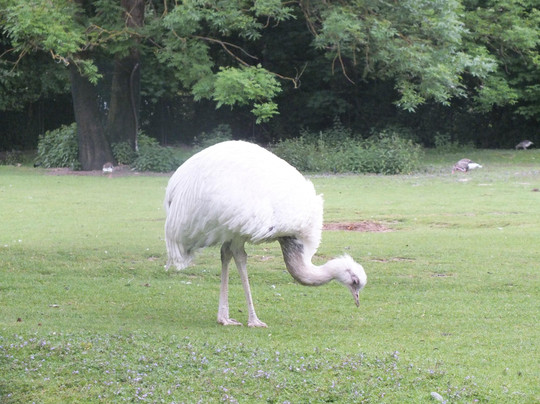 慕尼黑动物园-慕尼黑必去景点