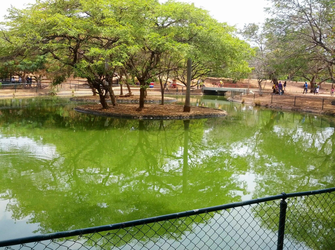 Zoologico Metropolitano de El Zulia景点图片