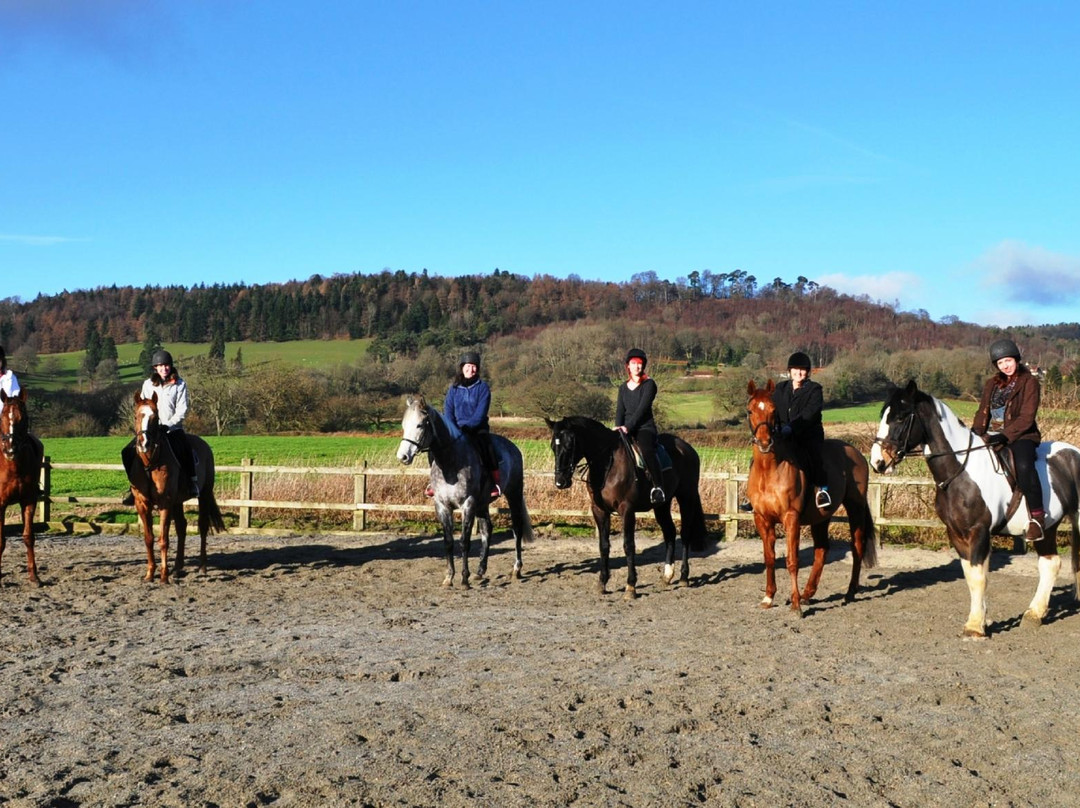 Horse Riding Surrey景点图片
