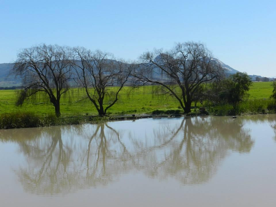 Le Bonheur Reptiles & Adventures-Simondium必去景点
