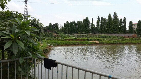 顺德均安生态乐园-佛山市必去景点