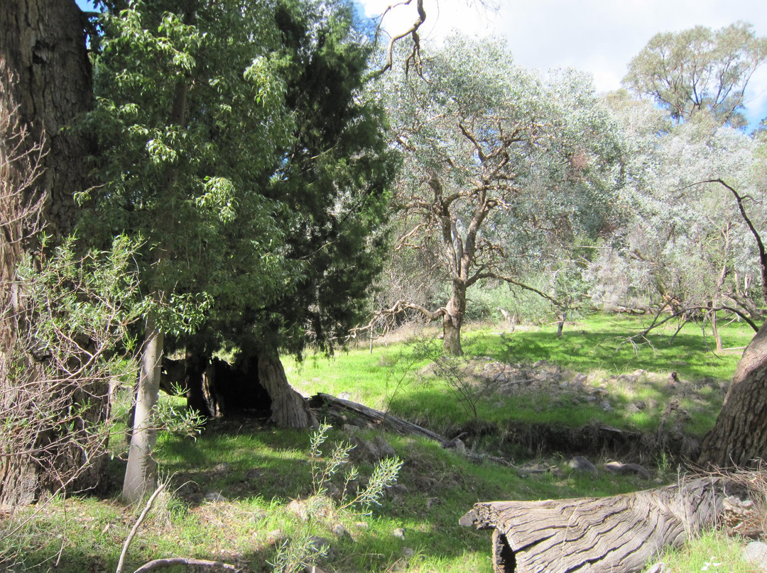 Warby Ovens National Park-Wangaratta必去景点
