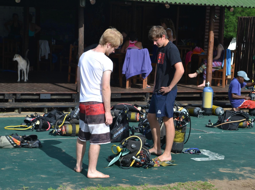 Simply Scuba Dive Charters