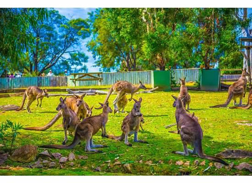 Great Expeditions - Personal & Guided Tasmania Day Tours-霍巴特必去景点