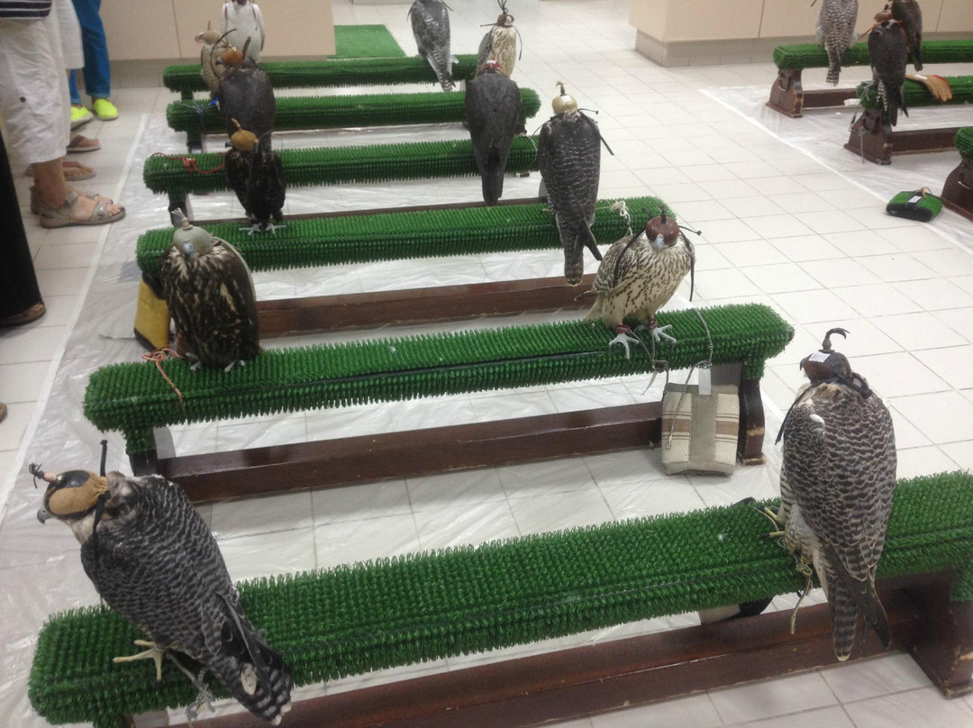 猎鹰医院-阿布扎比必去景点