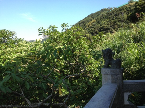 山顶广场-香港必去景点