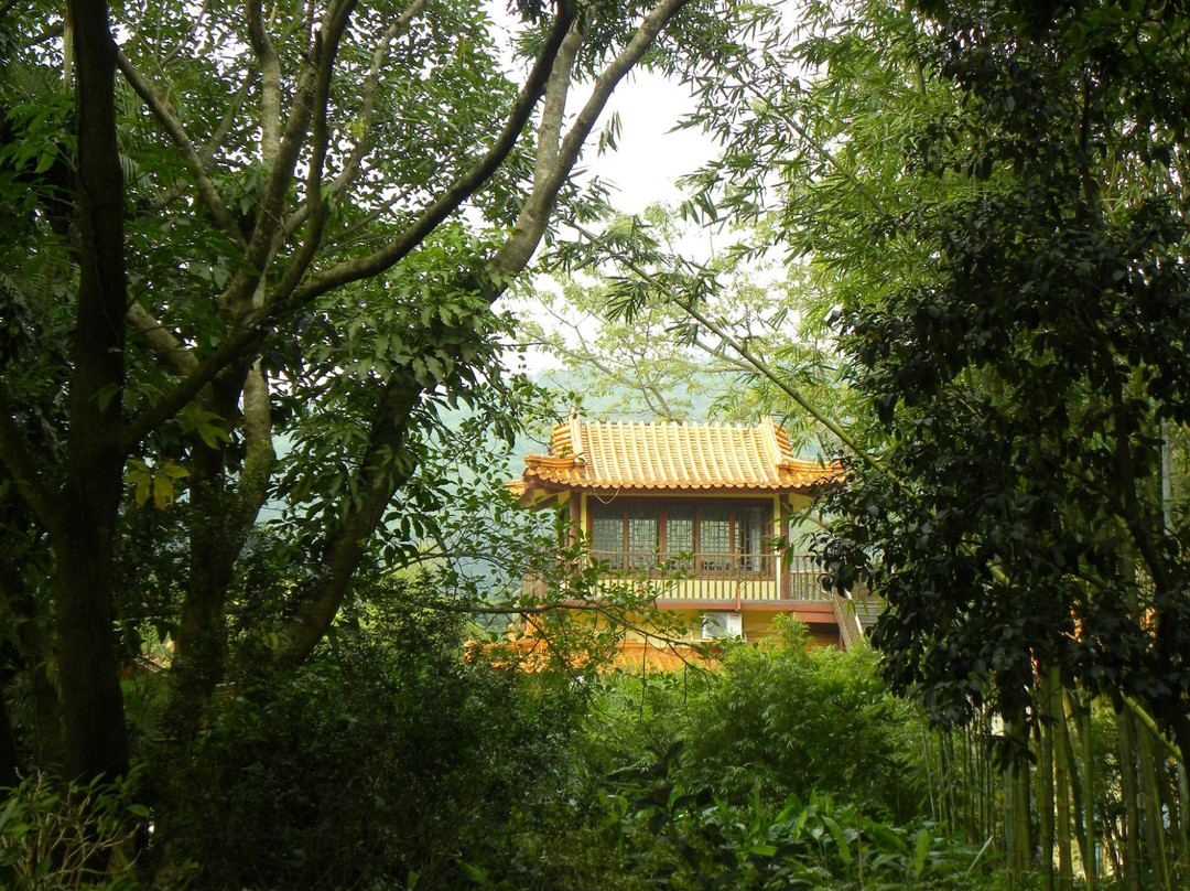 仙湖植物园-深圳市必去景点