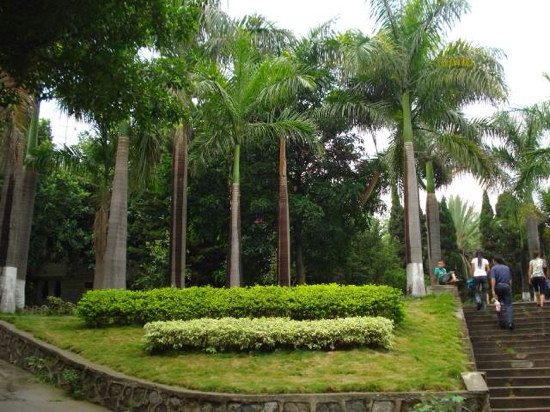 攀枝花公园-攀枝花市必去景点