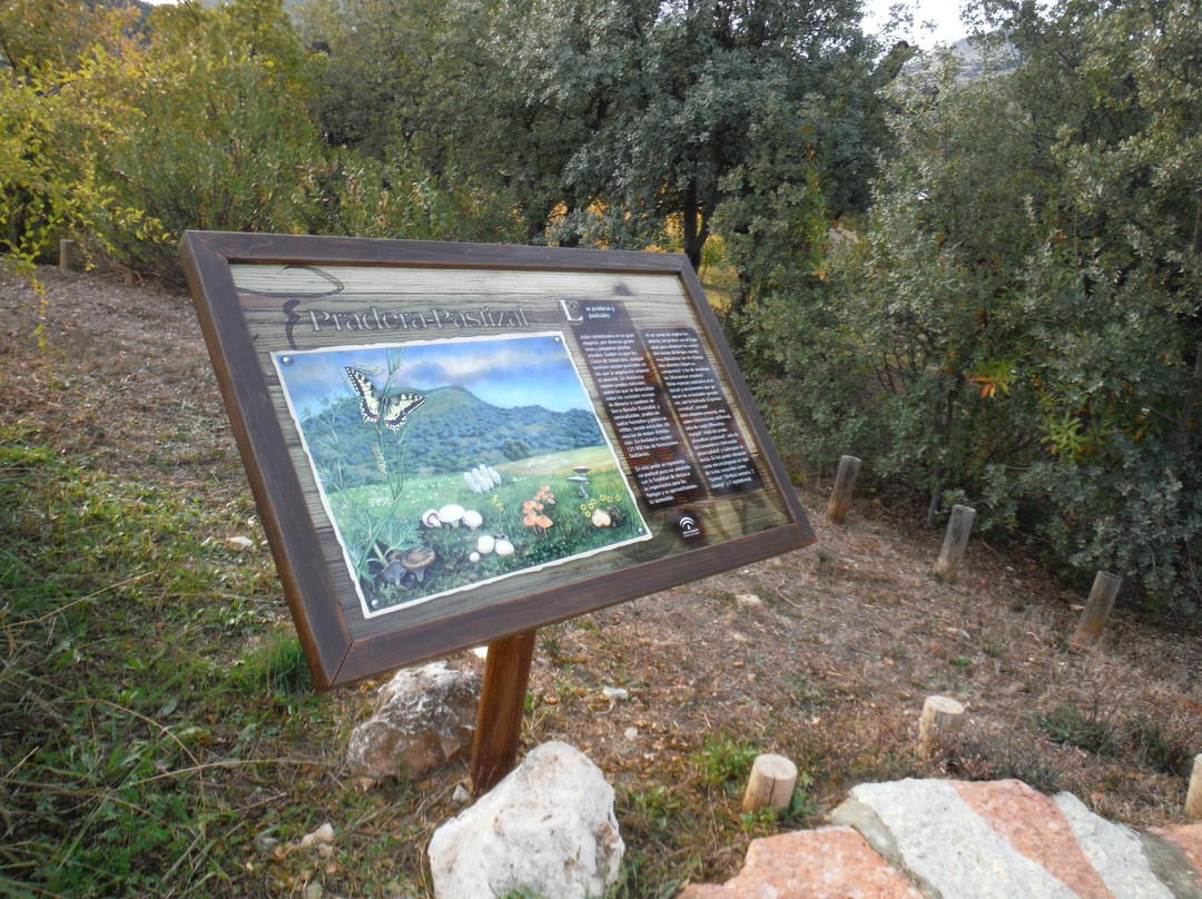 Jardín Micológico La Trufa景点图片