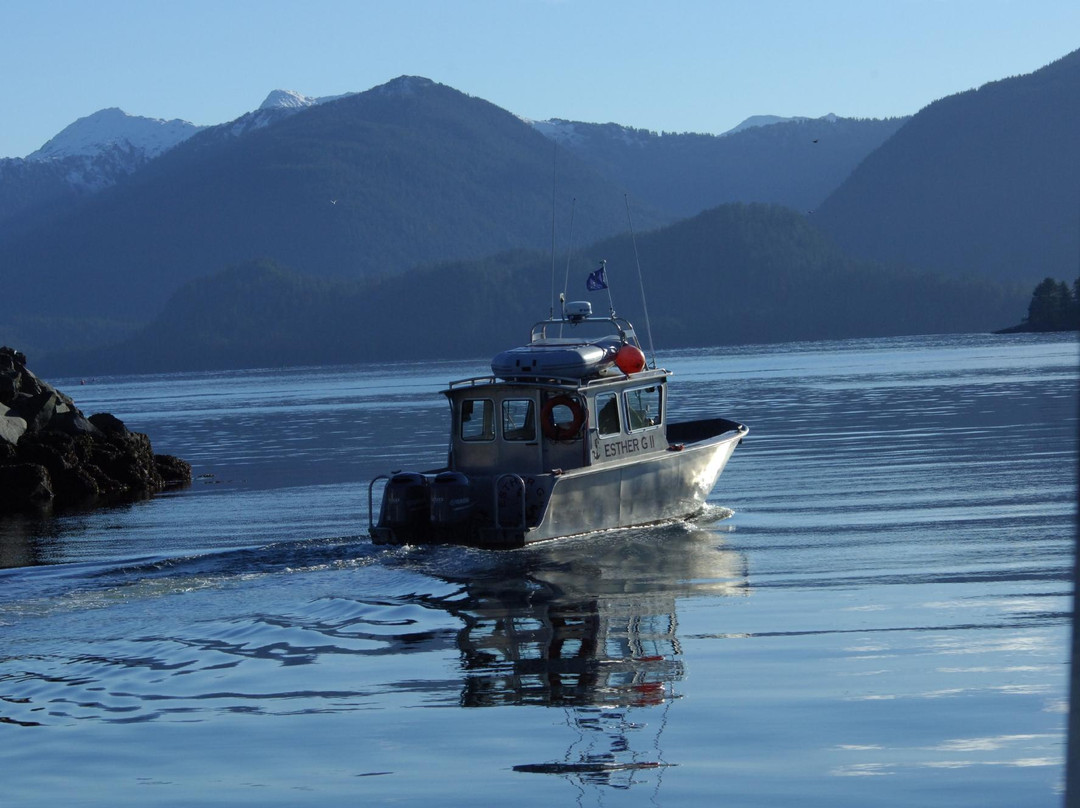 Sitka Wildlife Adventures景点图片