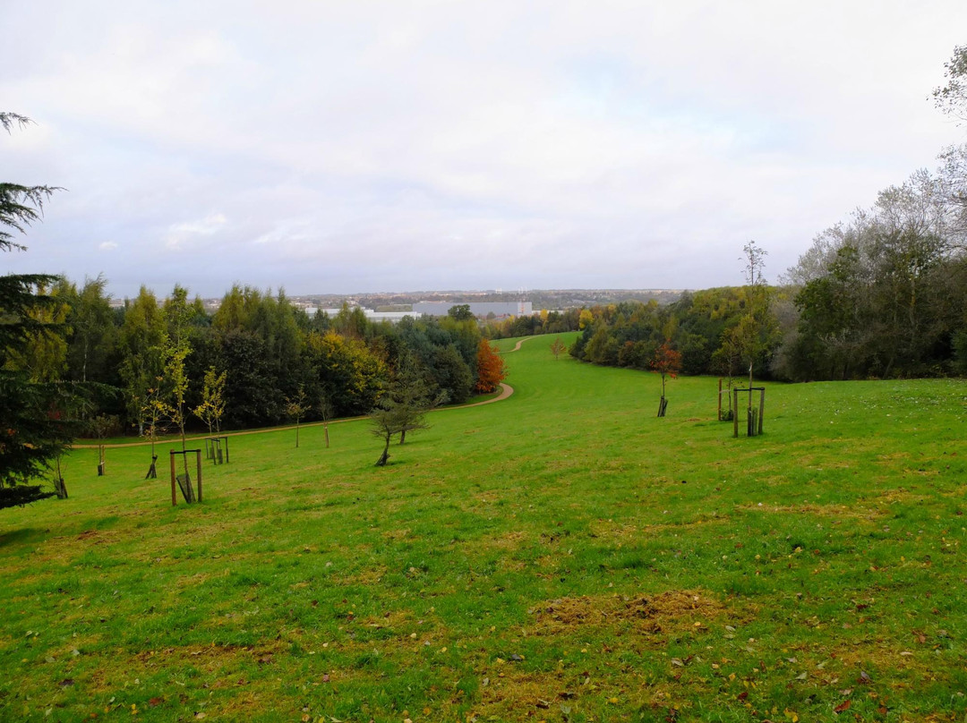 Brackmills Woods Country Park景点图片