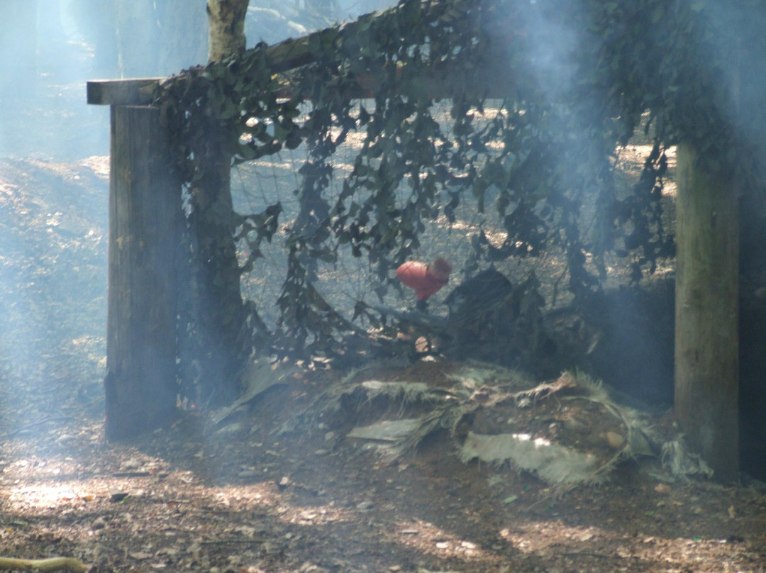 National Paintball Games景点图片
