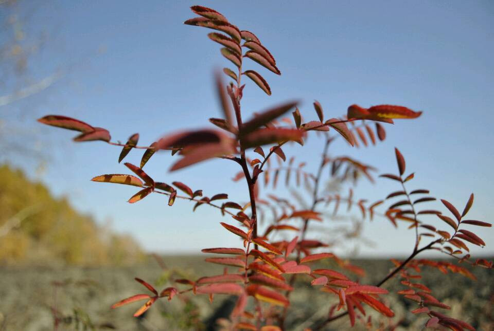 五大连池-五大连池市必去景点