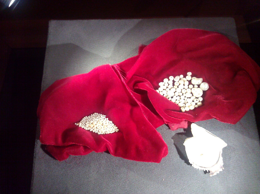 Kuwaiti Maritime Museum-萨尔米亚必去景点