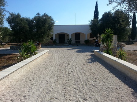 B&B "Tra gli Ulivi"