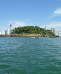 Ilha das Cabras景点门票图片