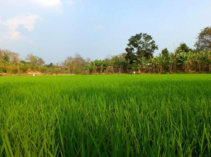 Rema-Kalenga Wildlife Sanctuary-锡尔赫特必去景点