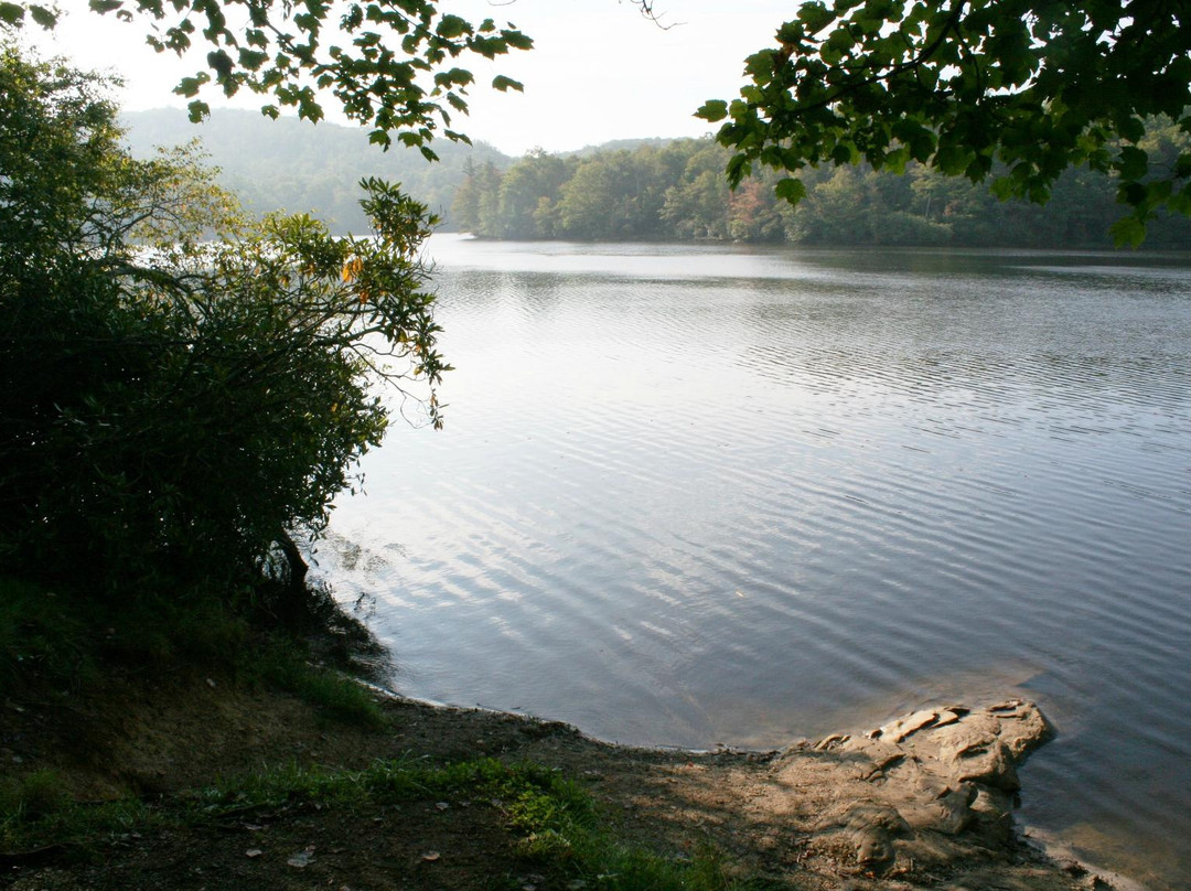 Julian Price Park Campground