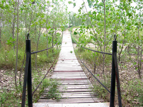 野生原酒店主图
