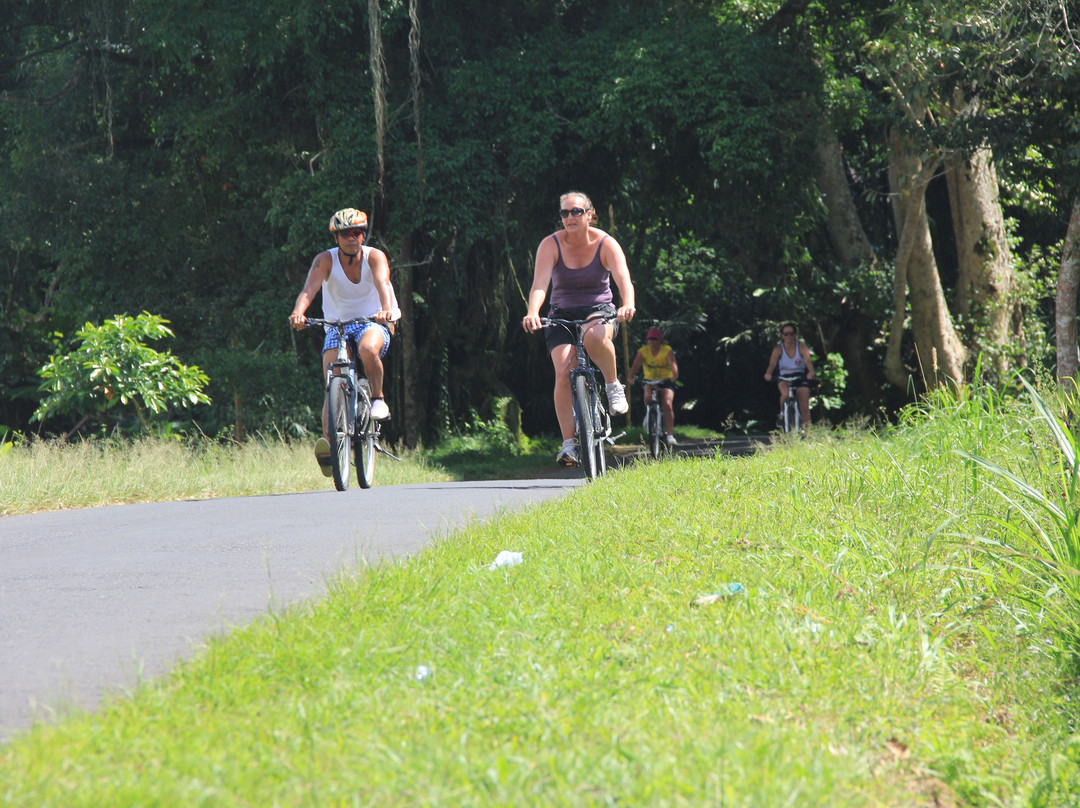 Bali Same Bike - Private Tours景点图片