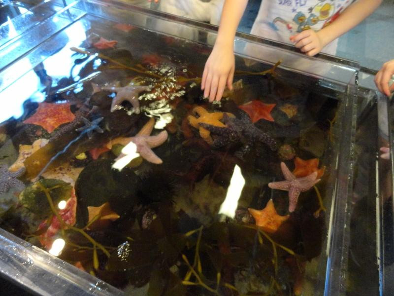 Santa Barbara Museum of Natural History Sea Center-圣巴巴拉必去景点