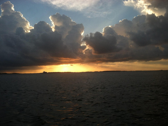 Captain Derek's Dolphin Adventure-泰碧岛必去景点