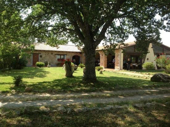 Fonni餐馆和美食-Agriturismo Santa Justa