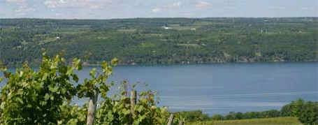 The Cherry Orchard B&B主图