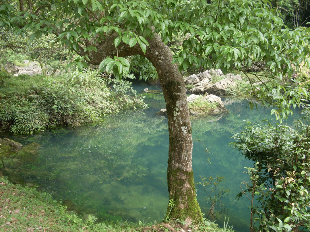 茂兰保护区景点图片