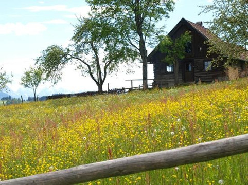 Pure Bavaria Tours-慕尼黑必去景点