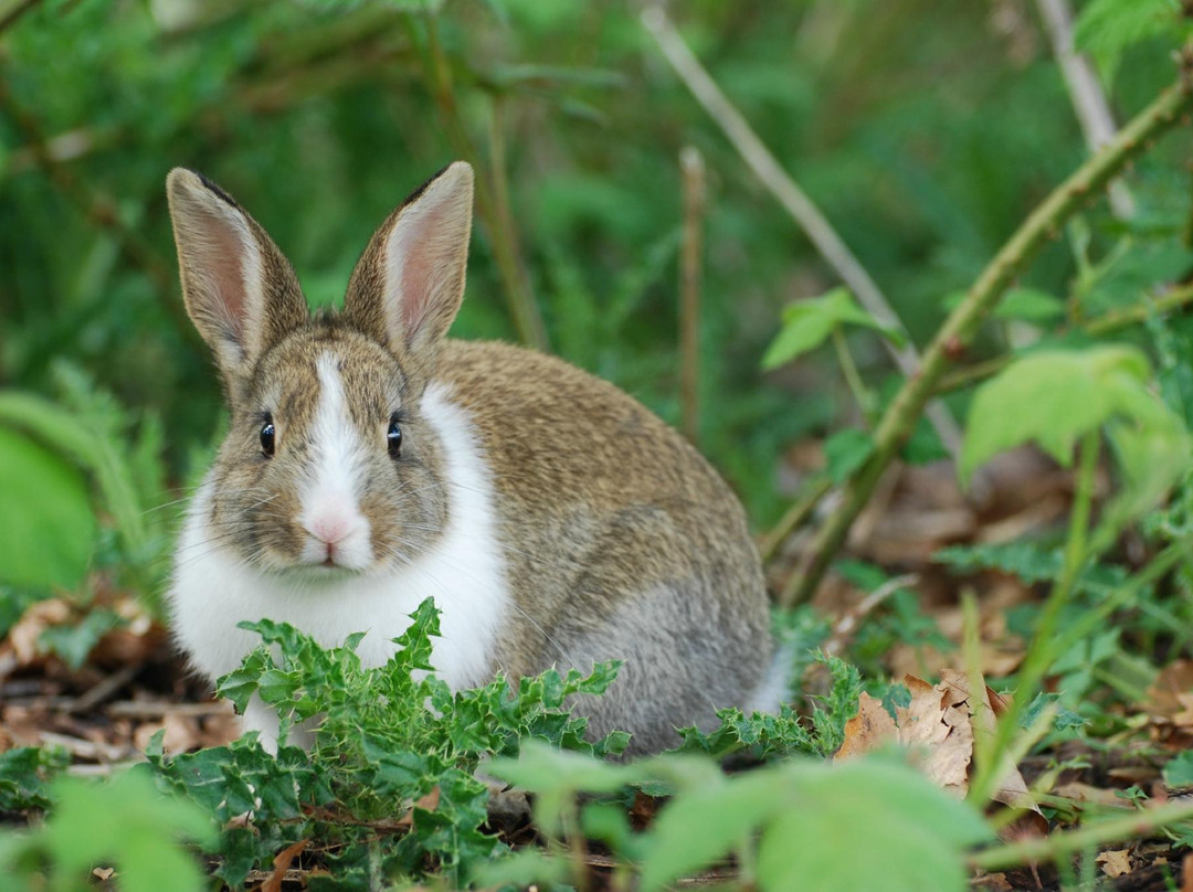 杰里科海滩-温哥华必去景点