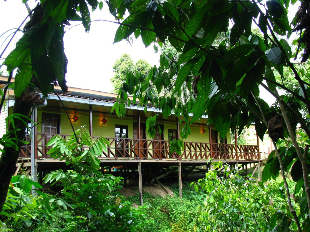 最后疆域精品度假山林小屋