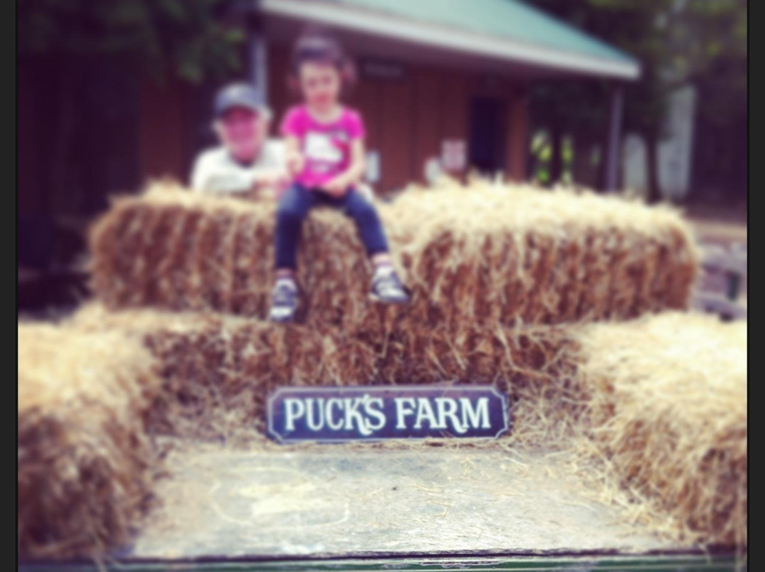 Puck's Farm景点图片