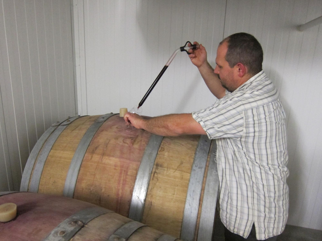 Rhone Wine Tours-尼永必去景点