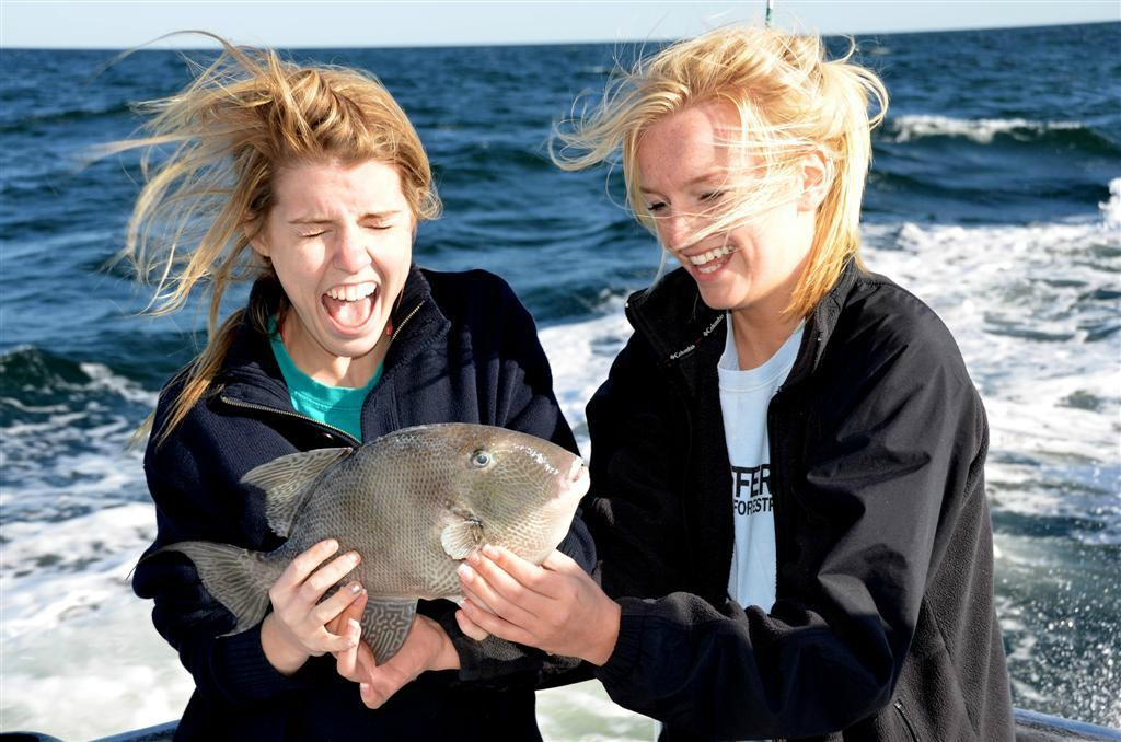 Charter Boat Distraction-橙色海湾必去景点