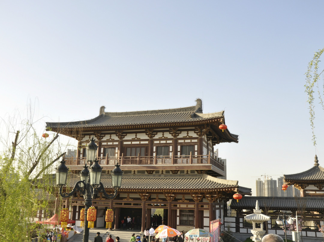 乐游原-西安市必去景点