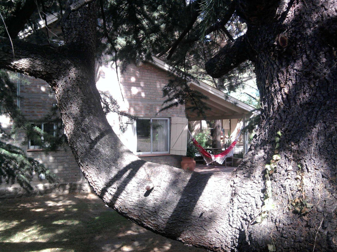 Cabanas Blumenhaus