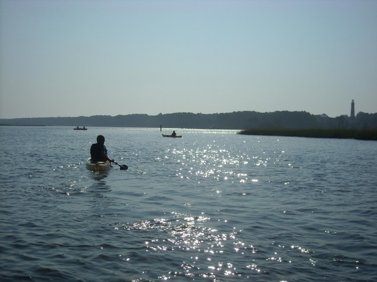 Old Town Canoe and Kayak Assateague Island Tours-钦科蒂格岛必去景点