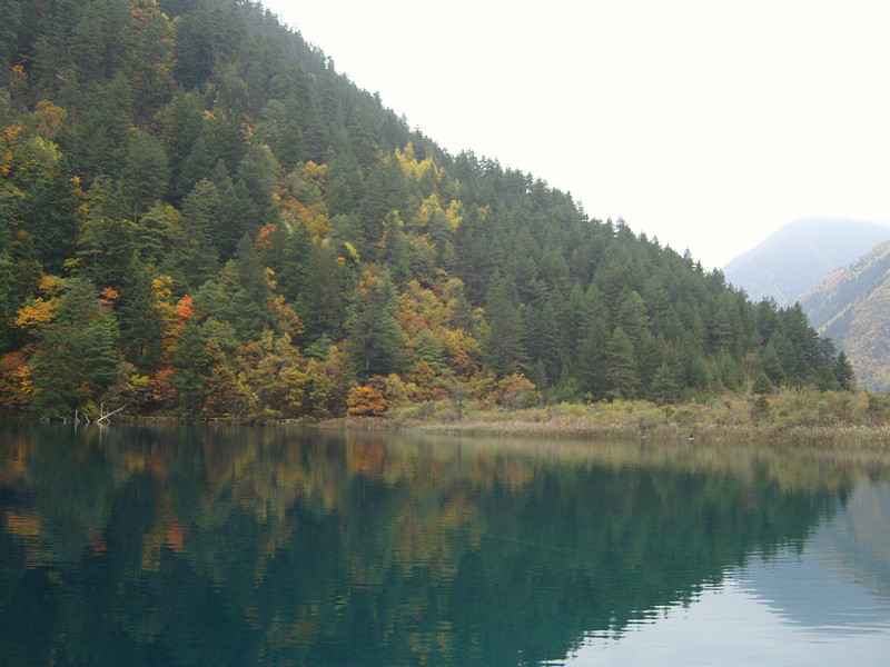 甘海子国家森林公园-九寨沟县必去景点