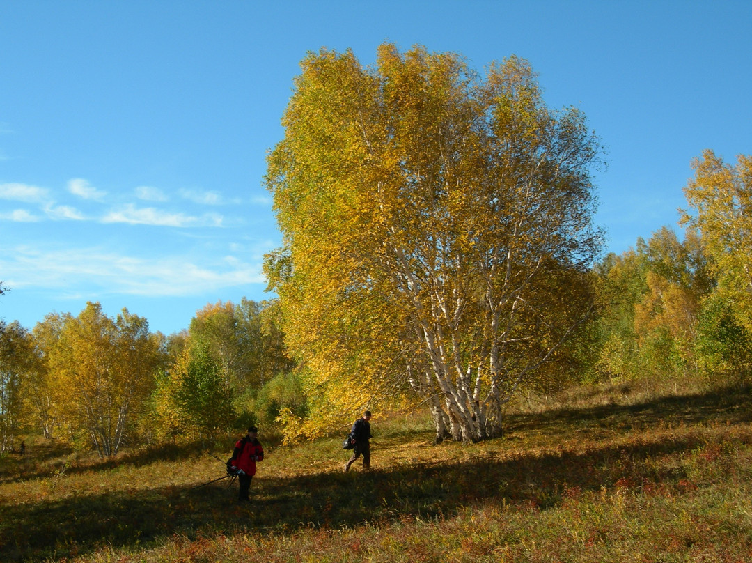 木兰围场-围场县必去景点