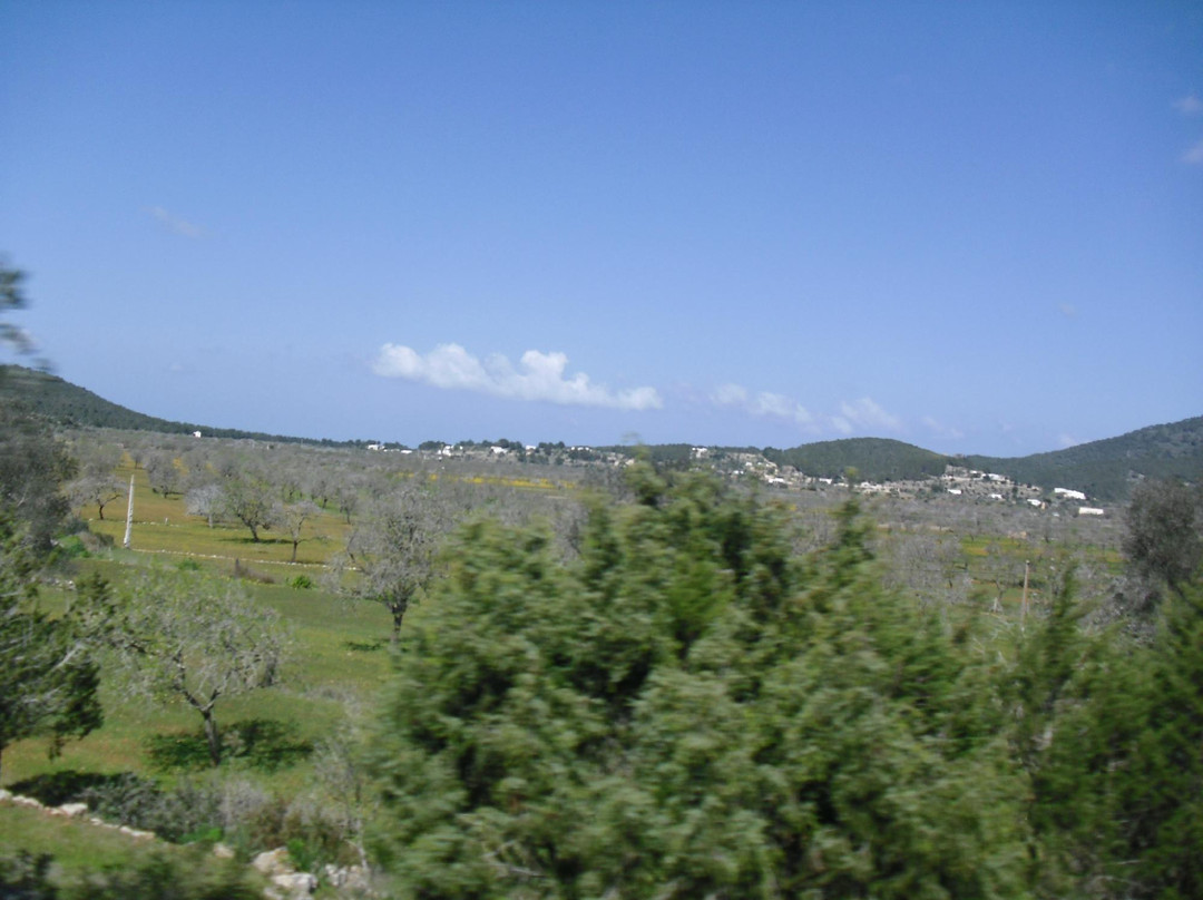 Cami Pla de Corona景点图片