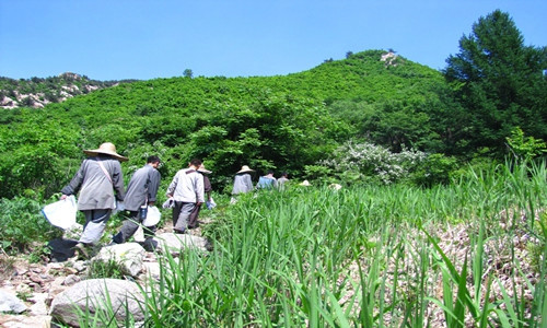 九龙川-海城市必去景点