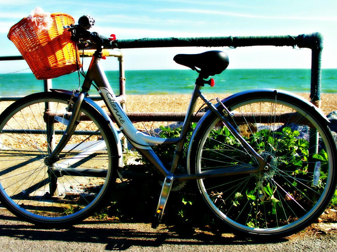 Sandgate Beach-Sandgate必去景点