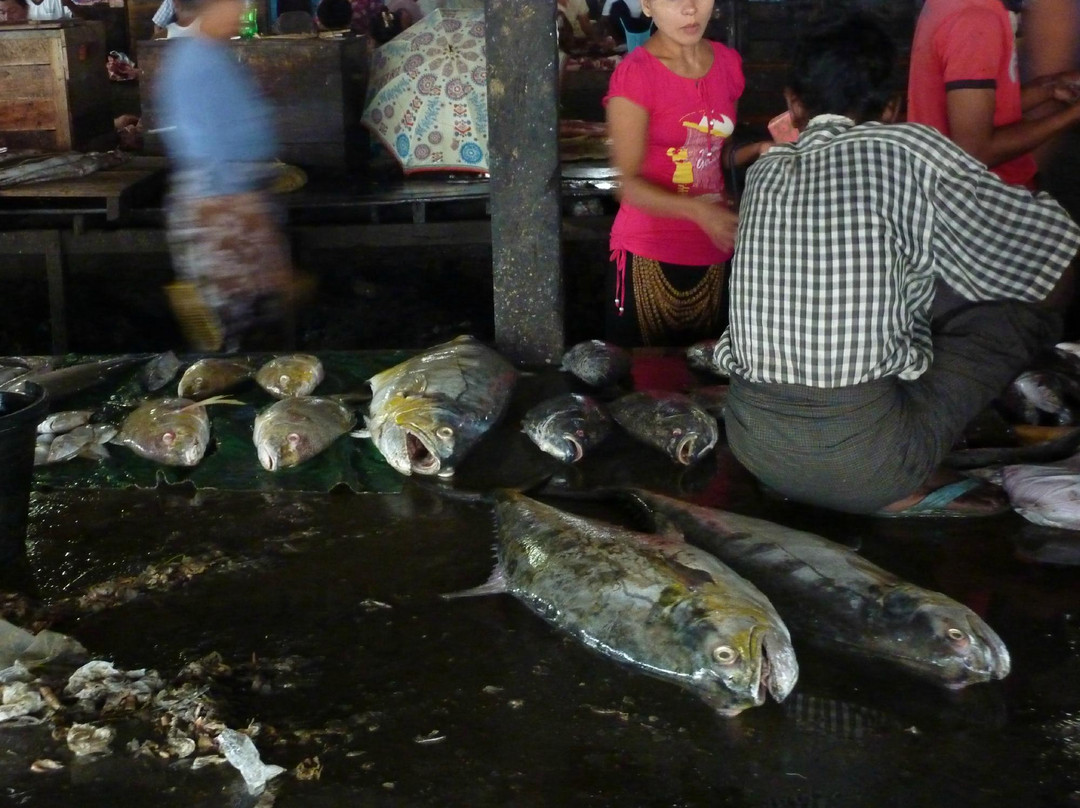 Fish Market-实兑必去景点