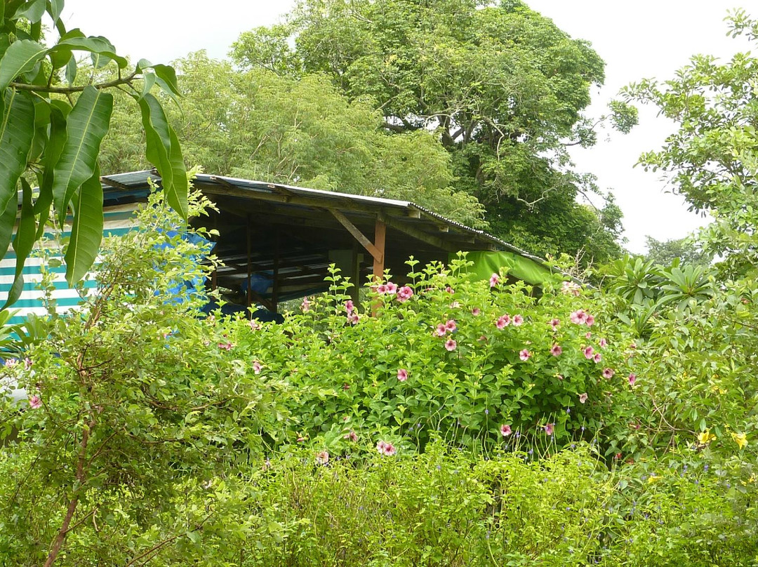 Alla La Daaro Guest House