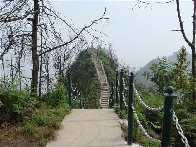 茶山竹海景点图片